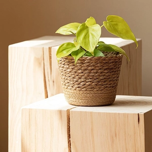 Natural seagrass woven flower pot on wooden block for minimalist home garden decor