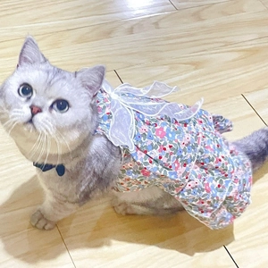 Floral print pet dress with lace bow decoration for cats and small dogs