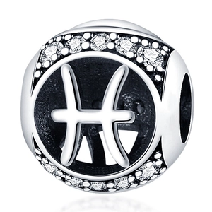 Macro shot of silver Pisces zodiac charm bead with clear cubic zirconia inlay