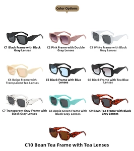 Detailed catalog of retro square sunglasses in ten colorful frame and lens options