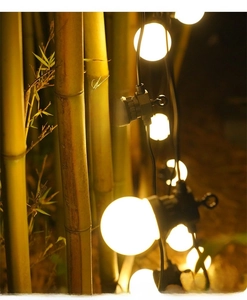 Detail of G50 warm white outdoor solar bulb string lights with integrated hanging hooks