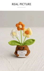 Detail of hand-knitted flower pot with a smiley face and emotional support card