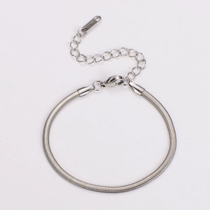 Detail of silver stainless steel snake chain with lobster clasp and extension chain