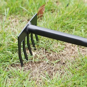 Black carbon steel garden rake tool with 5 tines on green grass for outdoor soil leveling