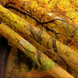 Detailed view of autumn forest landscape tapestry with dense weave fabric texture
