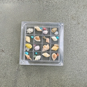 Top view of a 16-grid acrylic storage box filled with colorful seashells and small minerals