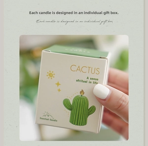 Détail de l'emballage cadeau élégant pour bougies parfumées en forme de cactus