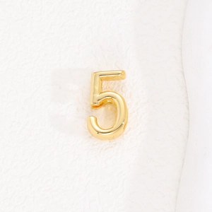 Polished gold number 5 charm accessory for 10mm stainless steel mesh bracelet band