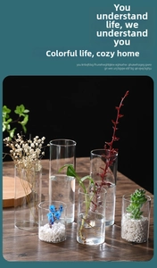 Various sizes of minimalist cylindrical clear glass vases for hydroponic plants and flowers