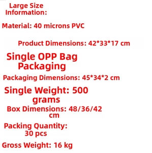 Detailed size chart for clear PVC backpack with dimensions 42x33x17cm and 500g weight