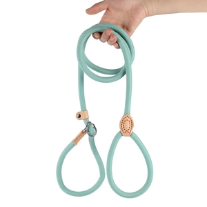 Detail of mint green thickened rope dog leash with leather accents