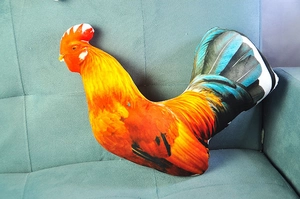 Close-up of rooster plush pillow with realistic 3D digital print on blue sofa