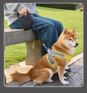 Detail of breathable yellow mesh dog harness with reflective strips and retractable leash