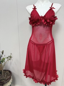 Detailed view of red sheer mesh lingerie with delicate 3D floral petals and bow accents