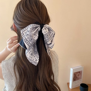 Detail of elegant paisley bow hair claw clip styled on back of head with a vintage aesthetic