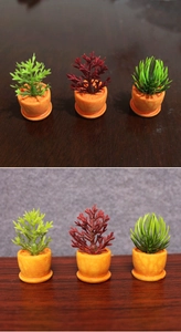 Set de tres macetas de suculentas en miniatura con hojas variadas y macetas naranjas para paisaje