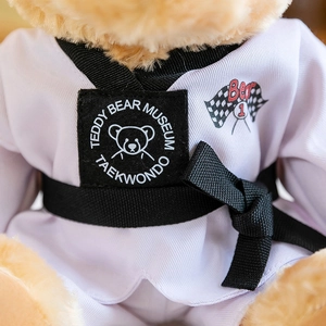 Adorable ours en peluche portant un uniforme de Taekwondo blanc avec une ceinture noire