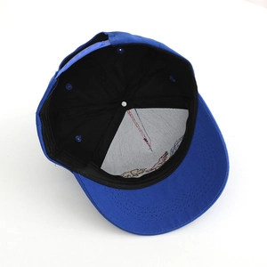 Blue kids baseball cap with dinosaur embroidery showing interior structure and strap