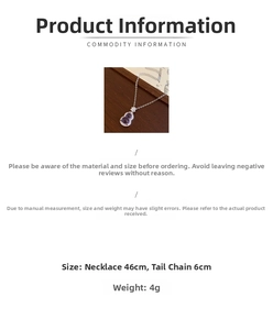 Detailed view of gourd necklace with purple gemstone, zircons, and 46cm silver chain