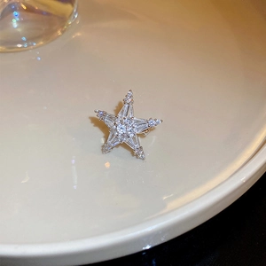 Macro view of silver star earrings with brilliant zircon stones in a ceramic dish