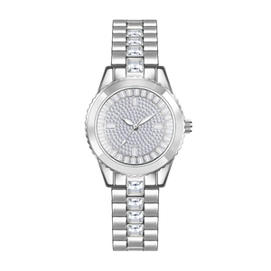 Detailed close-up of a silver luxury women's watch with crystals on the dial and strap