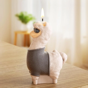 Detail of burning alpaca candle with sunglasses and gray sweater texture on wood