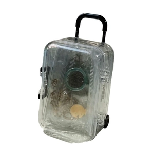 Mini transparent suitcase jewelry box with functional black telescopic handle and wheels
