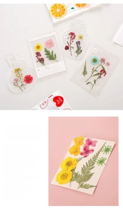 Detailansicht von transparenten PET-Trockenblumenaufklebern im Vintage-Flaschen-Design