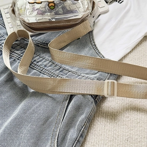 Detail of adjustable khaki nylon shoulder strap on transparent Capybara cartoon bag