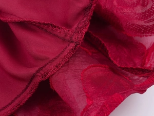 Détail de dentelle florale rouge et tissu en maille transparente avec couture renforcée