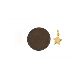 Detail of star pendants in black enamel and gold finish next to a coin for scale