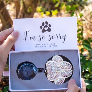 Macro shot of paw print crystal suncatcher and memorial card in a premium gift box