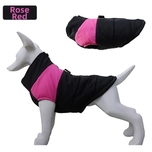 Detail view of windproof rose red pet vest with reinforced metal D-rings and zipper