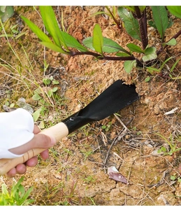 Garden shovel with black manganese steel head and wooden handle digging in natural soil