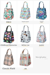 Multiple printed patterns for the insulated lunch bag with portable handles and flaps