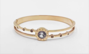 Macro shot of rose gold titanium steel double-layer bracelet with Roman numerals and zircon