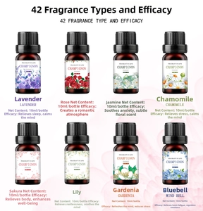 Variety pack of 10ml water-soluble essential oils in brown glass bottles for humidifiers