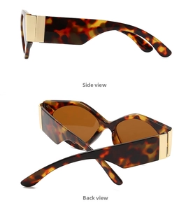 Detail view of tortoiseshell sunglasses with wide temples and gold metal accents