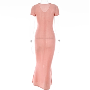 Back view of a slim fit pink short sleeve V-neck maxi dress on a mannequin