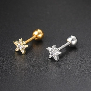Star-shaped stainless steel screw-back earrings with zircon in gold and silver finish