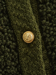 Detailopname van donkergroen gebreid materiaal met gouden leeuwenkop metalen knoop