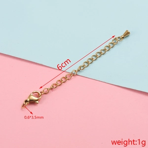 Detailed 6cm gold stainless steel extension chain with lobster clasp and weight specs