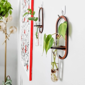 Detail showing wall-mounted dark wood frames with glass test tube vases for hydroponics
