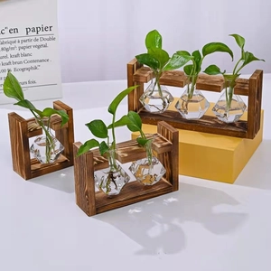 Hydroponic glass vases in scorched wood stand for indoor plants and desktop decoration
