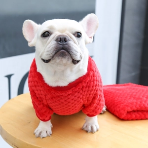 Dettaglio del maglione rosso per cani con trama a nido d'ape per calore e stile morbido