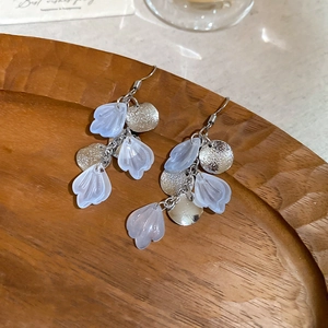 Detail of silver long tassel earrings with white shell leaves on a wooden display