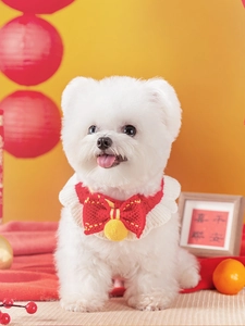 Gros plan du collier en tricot rouge et blanc pour animaux avec nœud et pompons