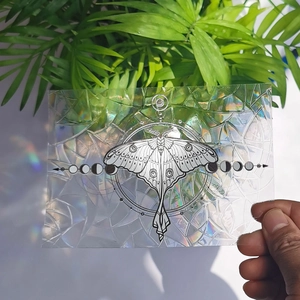 Rainbow suncatcher featuring moth and moon phases reflecting prisms on a green plant