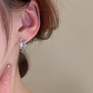 Close-up of star-shaped silver stud earrings with zircon inlay worn by a model