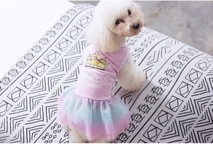 Detail of pink dog princess dress featuring a colorful rainbow mesh skirt and crown print